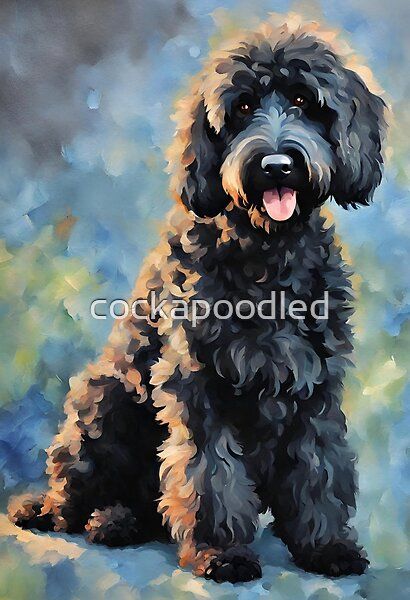 Labradoodle Painting, Brown Labradoodle, Labradoodle Art, Dog Noses, Dogs Painting, Black Labradoodle, Black Cockapoo, Labradoodle Dog, Dog Portraits Art