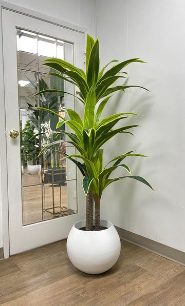 A local store specialize in high quality artificial plants for local wholesalers and retailers in Canada. Famous for quality and competitive price, WAYSAVING only supplies the most realistic artificial products to our customers. Artificial Plants Decor, Vertical Garden Indoor, Yucca Plant, Fake Plants Decor, Household Plants, Living Room Plants, Corner Space, Artificial Potted Plants, Plant Decor Indoor