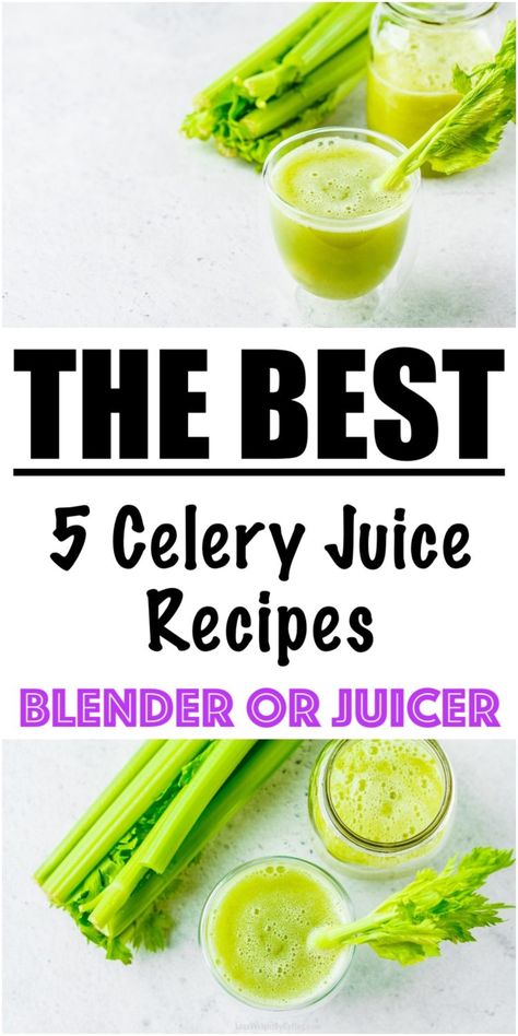 Weight Loss Celery Juice Recipe {5 RECIPES!} - Lose Weight By Eating Juice Recipes With Celery, Juice Celery Recipes, Juicing Recipes With Celery, Juicing Recipes Celery, Celery Juice Blender, Celery Juicer Recipes, Juicing Celery Recipes, How To Make Celery Juice In A Blender, Celery Green Apple Cucumber Juice