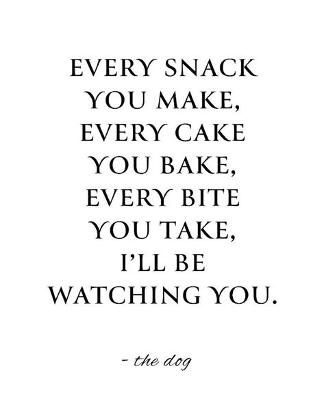 Funny Dog Quote Print, Every Snack You Make, Printable Kitchen Wall Art, Digital Download, Funny Kitchen Gift, Dog Home Decor, Dog Mom Gift Snack Quotes Funny, Funny Dog Mom Quotes, Dog Mom Quotes Humor, Snacking Quotes, Printable Kitchen Wall Art, Funny Dog Signs, Food Quotes Funny, Dog Mom Quotes, Eating Quotes