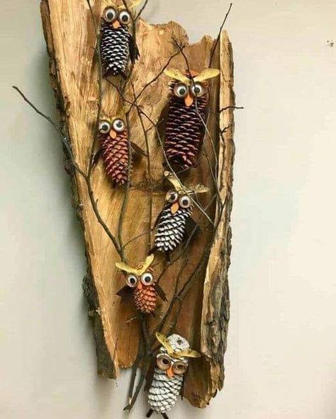 Pine Cone Owls, Pinecone Owls, Pinecone Crafts Kids, Acorn Decorations, Twig Art, Barn Wood Crafts, Owl Wall Art, Sea Crafts, Pine Cone Decorations