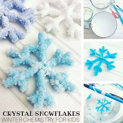 When the flakes start flying, get set up to make your very own sparkling, indoor snowflakes. Or maybe you live among the palm tress and dream of gently falling snow. Either way our beautiful crystal snowflakes are easy to make! You can enjoy your crystal snowflake ornaments all winter long with our simple borax crystal growing recipe! A classic science activity for homemade kid's STEM! CRYSTAL SNOWFLAKE ORNAMENTS! FUN WINTER SCIENCE EXPERIMENT! These crystal snowflakes and icicle ornaments are Borax Snowflakes, Snowflakes Science, Icicle Crafts, Crystals For Kids, Borax Crystals, Snowflakes Art, Growing Crystals, How To Make Crystals, Snowflake Craft