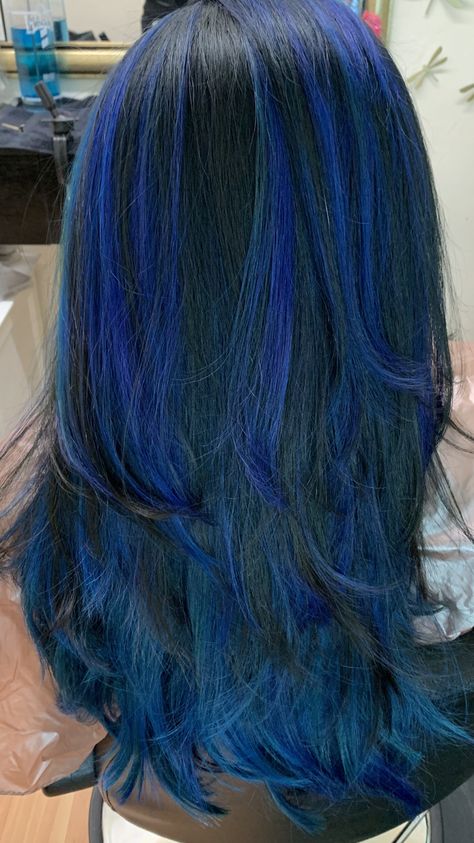 Blue Hair Blonde Highlights, Blue Hair With Black Highlights, Brown Blonde And Blue Hair, Blue Highlights In Light Brown Hair, Black And Dark Blue Hair, Blue Skunk Hair, Blue And Black Hair Ideas, Half Blue Half Black Hair, Dark Hair With Blue Highlights