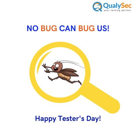 Qa Tester, Software Tester, The Bug, Software Testing, Hard Work, Work Hard, Software, Quick Saves