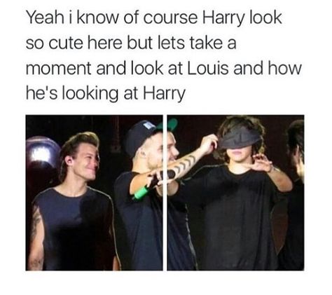 louis tomlinson, liam payne and Harry Styles image One Direction Fotos, Larry Shippers, One Direction Quotes, One Direction Photos, One Direction Harry, One Direction Humor, One Direction Memes, Louis And Harry, One Direction Videos