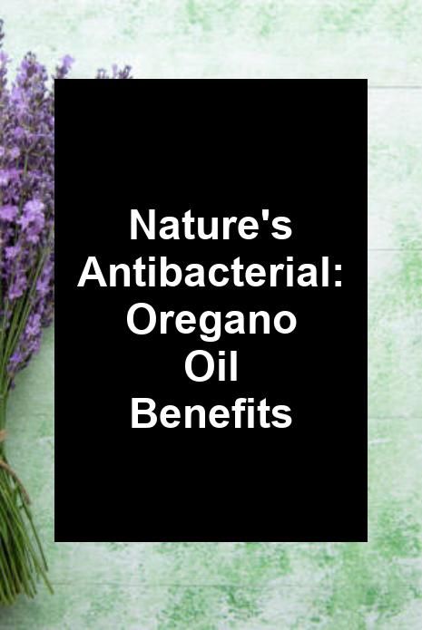 Nature's Antibacterial: Oregano Oil Benefits Oregano Olive Oil Antibiotic, Benefits Of Oil Of Oregano, Oil Of Oregano Benefits How To Use, Organic Oregano Oil, Benefits Of Oregano, Oil Of Oregano, Oregano Oil Benefits, Natural Medicine Cabinet, Indoor Grow