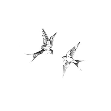 Tattoo Ideas Swallows, Swallow Tattoo Design Drawing, Fineline Sparrow Tattoo, Two Birds Tattoo Design, Swallow Bird Tattoo Design, Small Mockingbird Tattoo, Minimalist Sparrow Tattoo, Minimalist Swallow Tattoo, Sparrow Fine Line Tattoo