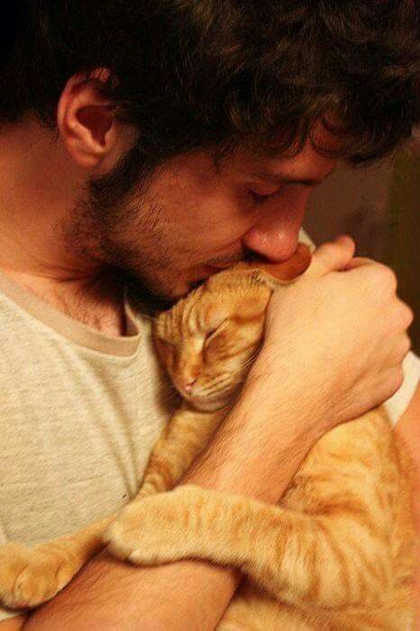 There's nothing sexier than a guy who loves his cat. #guy #dude #cat #man #love Men With Cats, Cat Reference, Dear Future Husband, Tough Guy, Top Five, Cat Face, Cat Drawing, Beautiful Cats, Cat Mom