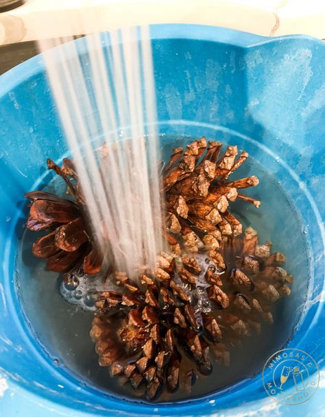 Clean Pine Cones For Crafts, How To Prep Pinecones For Crafts, How To Dry Out Pine Cones, Pine Cone Cleaning, How To Debug Pinecones, Crafts Using Pine Cones Holidays, Cleaning Pinecones For Crafts, Huge Pinecone Crafts, Pine Cone Candles Diy