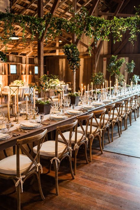 Rustic Wedding Reception With Long Tables And Cross-Back Chairs | Brides Wedding Reception Chairs, Stunning Wedding Venues, Rustic Wedding Reception, Blush Wedding Flowers, Crossback Chairs, Rustic Wedding Flowers, Reception Chair, Real Weddings Photos, Rustic Barn Wedding