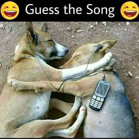 Guess The Song, Funny Dog Photos, Cartoon Love Photo, Funny Boy, Latest Funny Jokes, Funny Comedy, Facebook Ads, Funny Short, Cartoon Pics