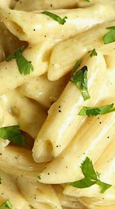 Creamy Garlic Butter Pasta!! Garlic Butter Macaroni, Pasta In Butter Sauce, Easy Butter Pasta Recipes, Butter Pasta Sauce Easy, Pasta Sauce With Milk And Butter, Garlic Lovers Pasta, Butter Garlic Pasta Sauce, Easy Butter Pasta Sauce, Buttery Pasta Sauce