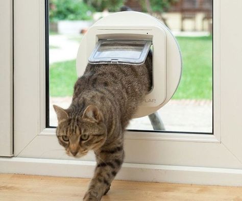 Age Chat, Cat Flap, Pet Doors, Cat Window, Pet Door, Cat Door, Dog Door, Cat Room, Large Cats