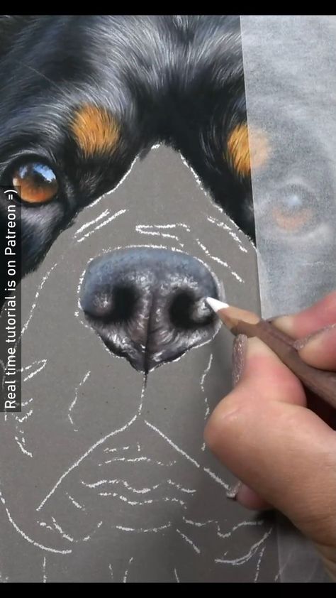 Animal Portraits Art Drawings, Dog Nose Drawing, Human Nose, Dog Drawing Tutorial, Drawing Dogs, Dog Watercolor Painting, Dog Portraits Painting, Dog Drawings, Colored Pencil Portrait