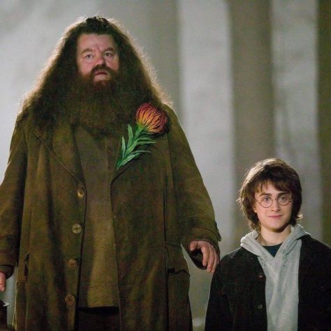 Half Giant, Harry Potter Ron And Hermione, Robbie Coltrane, Rubeus Hagrid, Gryffindor Aesthetic, The Goblet Of Fire, Ron And Hermione, Harry Potter Films, Harry Potter Cast