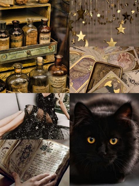 A moodboard for witches that prefer gold, sun and stars. I own none of the images, and they are a result of long, random search. #aesthetic #witchaesthetic #witch #witchlife #gold #black #blackcat #moodboard #aestheticmoodboard Science Witch Aesthetic, Black And Gold Witch Aesthetic, Witch Aesthetic Board, Witch Aesthetic Moodboard, Solarcore Aesthetic, Honey Witch Aesthetic, Star Witch Aesthetic, Golden Witch Aesthetic, Witch Moodboard Aesthetic