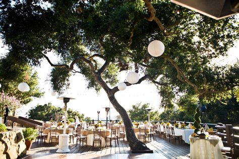 8 Affordable Santa Barbara Wedding Venues on Here Comes The Guide | Venue pictured: Elings Park • Santa Barbara, CA Wedding Locations California, Santa Barbara Wedding Venue, Santa Barbara Beach, Beach Wedding Locations, Wedding Venue Los Angeles, Southern California Wedding Venues, Party Songs, Wedding Venues Beach, Wedding Spot