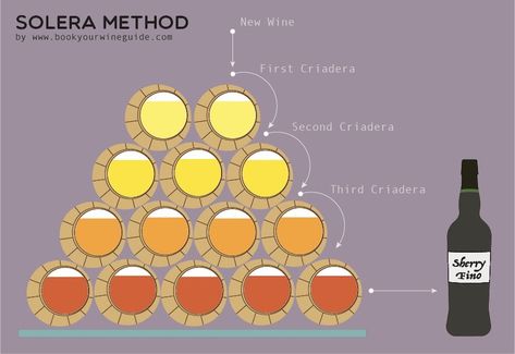 Wine Alcohol, Sherry Wine, Fortified Wine, Wine Guide, Sweet Wine, Natural Preservatives, Alcohol Content, Food To Eat, Food Pairings