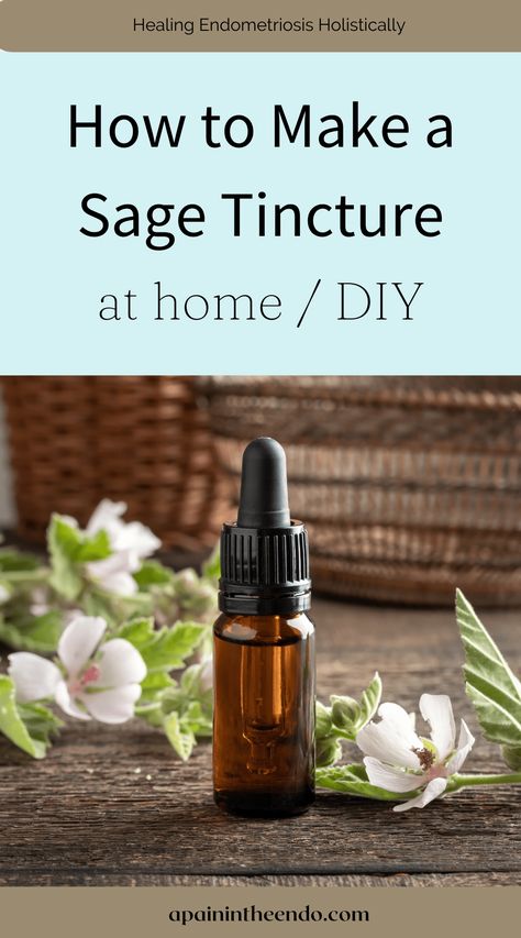 This sage tincture recipe is easy and fun to make from the comfort of your own home. Sage is a common household herb with healing medicinal properties and Are Shingles Contagious, Sage Tincture, Herbal Tinctures Recipes, Medicinal Herbs Remedies, Herbal Vinegar, Herb Tinctures, Tinctures Recipes, Sage Herb, Herbal Medicine Recipes