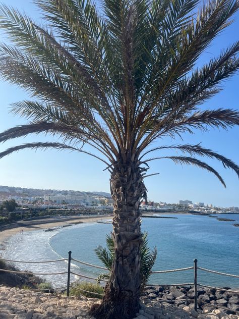 Amazing beach , Playa de Fanabe , Costa Adeje , Tenerife Tenerife Beach, Costa Adeje Tenerife, Adeje Tenerife, Costa Adeje, Beach Fun, Holiday Travel, The Globe, In This Moment, Travel