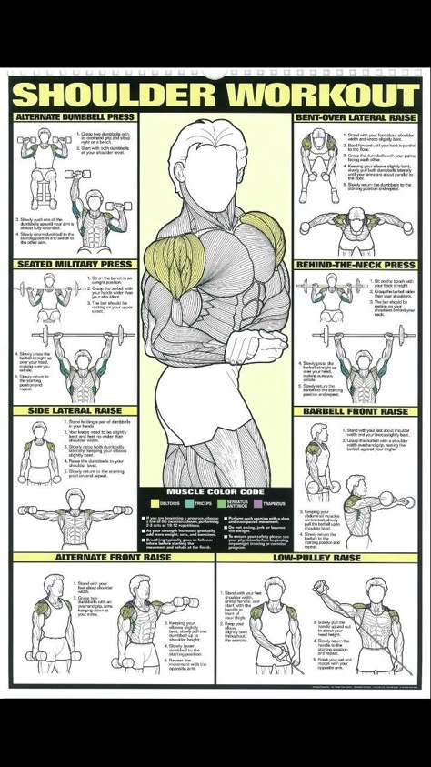 Full Shoulder Workout, Shoulder Workout Routine, My Workout Routine, Fitness Studio Training, Shoulder Training, Gym Workout Guide, Workout Program Gym, Workout Training Programs, Workout Gym Routine