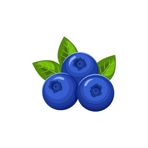 Blueberry icon isolated Royalty Free Vector Image Blueberry Vector, Blueberries Drawing, Cartoon Blueberry, Blueberry Cartoon, Blueberry Drawing, Blueberry Illustration, Blueberry Images, Blueberry Art, Cute Elephant Cartoon