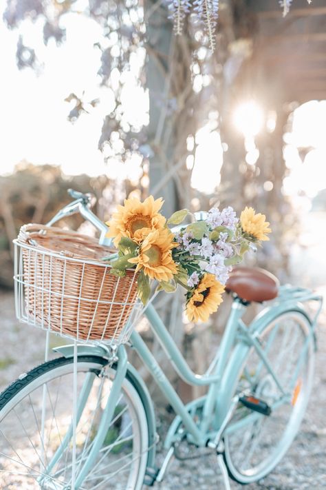 The prettiest bike by Reid Bicycles! Happy to do photoshoots everyday on this beauty 👌🏻 #vintagebike #vintagestyle #vintageaesthetic #bikelife #sunflower #bikebasket #bicycle #bicycledesign #floral Spring Bike Aesthetic, Summer Bike Aesthetic, Bike Basket Aesthetic, Spring Aesthetic Photography, Vintage Bike Aesthetic, Aesthetic Bicycle, Vintage Spring Aesthetic, Vintage Bicycle Decor, Vintage Bicycle Art