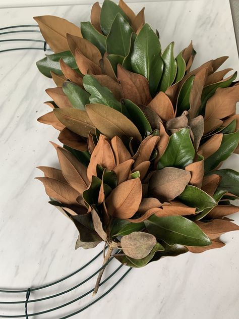 DIY Fall Magnolia Wreath - Domestically Blissful Magnolia Wreath Diy, Domestically Blissful, Diy Magnolia Wreath, Magnolia Decor, Magnolia Leaf Wreath, Easy Fall Wreaths, Metal Wreath Frame, Easy Diy Wreaths, Wire Wreath Frame