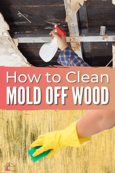 Mold can be a pesky problem to get rid of, but with this guide, you'll be able to clean mold off wood in no time. via @mystayathome How To Clean Mold Off Wood, Clean Mold Off Wood, Mold Remover On Wood, Homemade Wood Cleaner, Best Mold Remover, Remove Mold From Shower, Bathroom Mold, Vinegar Cleaner, Black Mold