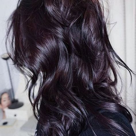 Smoked purple! Subtle enough for work! Dark Violet Hair, Pelo Color Borgoña, Violet Hair Colors, Brunette Medium, Plum Hair, Highlights Color, Violet Hair, Long Dark Hair, Hair Color Purple