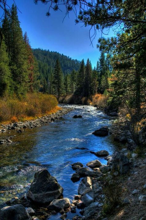 Truckee California, Truckee River, Scenic Pictures, Beautiful Places Nature, Landscape Pictures, Must Read, California Usa, Nature Scenes, Landscape Photos