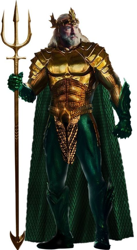 Aquaman Costume, Dc Aquaman, Aquaman Movie, Dc Justice League, Superman Man Of Steel, Univers Dc, Lion Images, Arte Dc Comics, Dc Comics Artwork