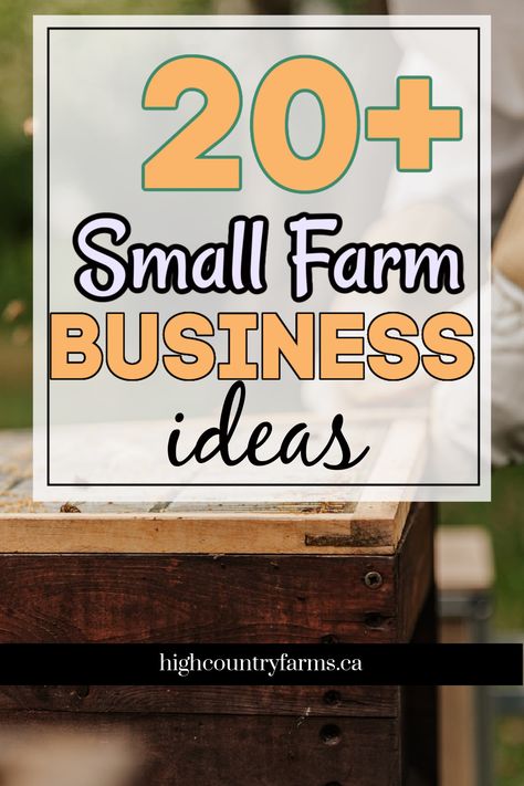 Starting a small farm? These 20+ small farm ideas will help you turn your farm into a profitable small farm. #farmingforprofit Farm Profit Ideas, Small Cattle Farm Layout, Ranch Layout Farm Animal, Small Farming Ideas, Profitable Hobby Farm, Start A Farm Business, Small Farm Ideas Homesteads, Micro Farming Ideas, How To Start A Farm Business