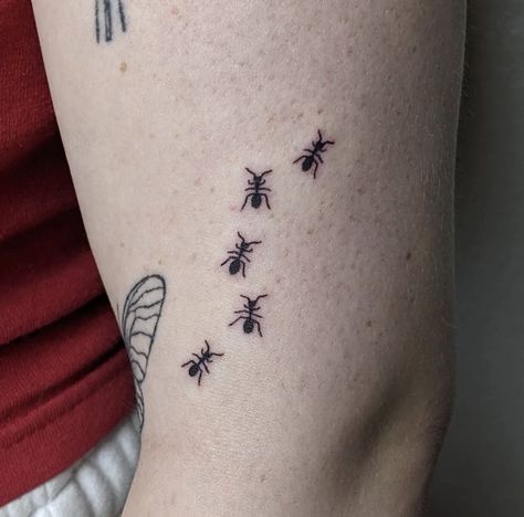 Tattoo Ideas Insects, Floral Stick And Poke, Small Bug Tattoo Ideas, Unsettling Tattoos, Bug Finger Tattoo, Bug Stick And Poke, Matching Bug Tattoos, Pill Bug Tattoo, Tiny Bug Tattoo