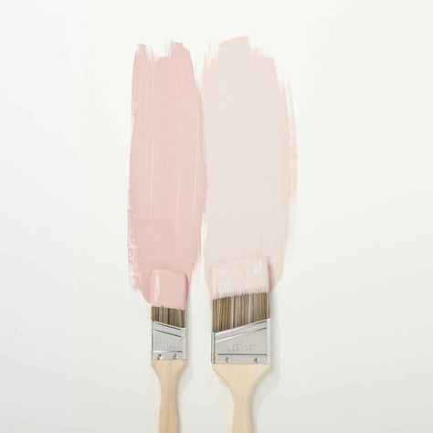 Paint For Interior Walls, Pink Paint Colors, Caitlin Wilson, Trim Paint, Blue Nursery, Rose Wall, Wall Trim, Colors For Home, Pink Paint