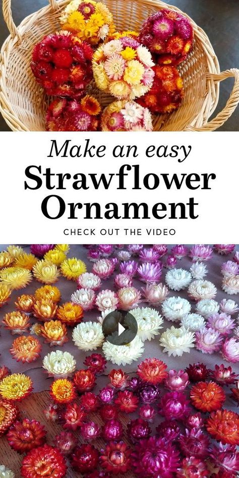 When the weather turns gray outside, add cheerful color to your winter décor with an easy-to-make floral ornament. Dried Flowers Crafts, Diy Tree Decor, Dried Flowers Diy, Southern Ontario, Dried Flower Wreaths, Floral Ornament, Fine Gardening, Pressed Flower Art, Wedding Flower Decorations