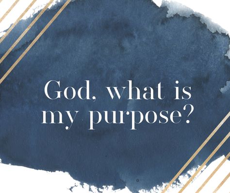 God’s Purpose For Your Life, Youth Sermons, What Is My Purpose, God Reveals, Bible Diet, Counseling Tips, Find Your Calling, Bible Studying, Your Calling