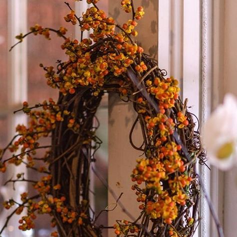 The Gardener's Cottage on Instagram: "A tell tale sign that it’s Fall~Locally made bittersweet wreaths! Also available by the bunch🧡 Stop by for your dose of seasonal cheer! #gardenerscottageasheville #828isgreat #828 #avl #avltoday #imsomartha #itsfallyall #falldecor #happyfall #autumnvibes" It's Fall, Happy Fall, Fall Vibes, Instagram A, Fall Decor, Thanksgiving, Cottage, On Instagram, Instagram