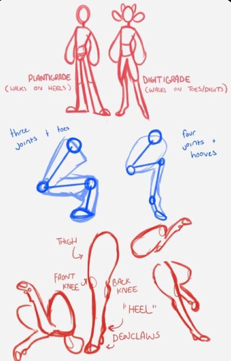 Faun Legs, Legs Tutorial, Instant Ramen, Body Drawing Tutorial, Body Reference Drawing, Ice Breaker, Seni Origami, Drawing Expressions, Poses References