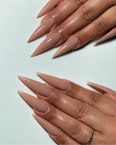 Staleto Nails, Nude Stiletto Nails, Romantic Nail Art, Acrylic Nails Stiletto, Stilleto Nails Designs, Acrylic Nails Nude, Long Stiletto Nails, Small Nails, Ombre Acrylic Nails