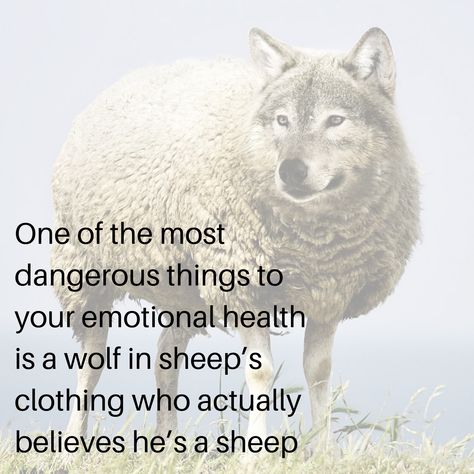 One of the most dangerous things to your emotional health is a wolf in sheep's clothing who actually believes he's a sheep. Wolf In Sheep’s Clothing Quotes, A Wolf In Sheeps Clothing Quotes, Beware Of Wolf In Sheeps Clothing Quotes, A Wolf In Sheep's Clothing, Wolf In Sheep’s Clothing, Wolves In Sheeps Clothing Quotes, Wolf In Sheeps Clothing Quotes, Snake Clothing, Sheep Quote