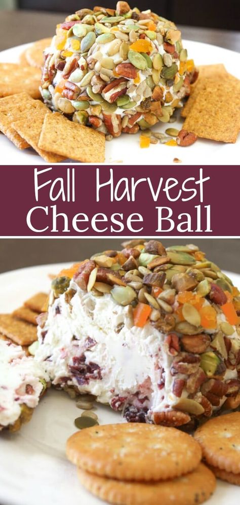 Fall Cheeseball Recipes, Fall Cheeseball, Fall Appetizers For Party Autumn, Fall Harvest Party Food, Fall Dips And Appetizers, Fall Dips, Ball Cheese, Cheeseball Recipes, Cheese Ball Recipe