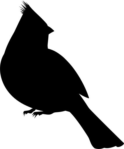 animal bird cardinal exotic - Free SVG Image & Icon. Cardinal Cricut Projects, Free Cardinal Svg, Free Bird Svg Files For Cricut, Cardinal Svg Free Cricut, Animal Svg Files Free, Cardinal Template, Bird Svg Free, Nightlight Ideas, Silhouettes Drawing