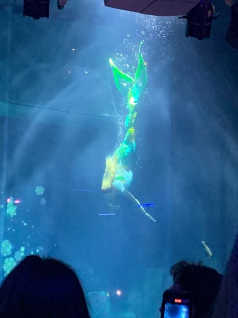 Mermaid, green, diving Aquarium Mermaid Show, Professional Mermaid Aquarium, Mermaid In Aquarium, Paris Aquarium, Aquarium Mermaid, Mermaid Aquarium, Professional Mermaid, Unbelievable Nature, Dream Jobs