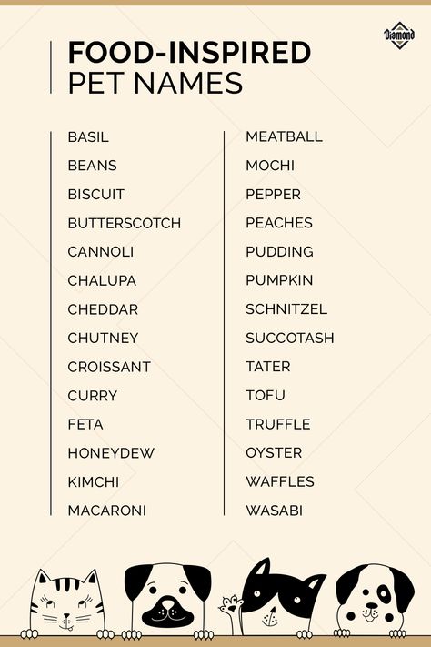 Did you just adopt a dog or cat and are wondering what to name them? Name your pet after something you love, like food! From Tofu and Feta to Mochi and Tater, check out these food-inspired pet names. #PetNames #NameIdeas Pet Names For Animals, Names For Hedgehogs, Touchbar Pet, Dog Names Food Related, Adopt Me Names For Pets, Cute Cat Names Aesthetic, Cute Hedgehog Names, Aesthetic Names For Cats, Food Pet Names