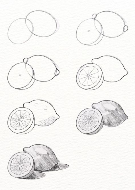 How To Draw A Lemon, Draw A Lemon, Lemon Sketch, Kids Drawing Ideas, Sketches Pencil, Art Drawings Sketches Pencil, Art Drawings Sketches, Drawing For Kids, Drawing Ideas