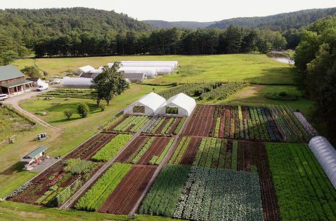 Homestead Layout, Tiny Farm, Farm Plans, Vegetable Farming, Farm Layout, Farm Lifestyle, Future Farms, Market Garden, Journey To Success