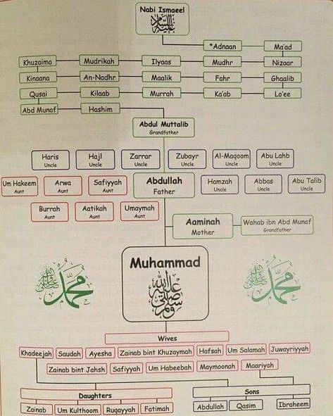 Family tree of Prophet Muhammad PBUH Family Islam, Prophets In Islam, Prophet Muhammad Quotes, Quotes Family, Islam Beliefs, Muhammad Quotes, Islam Hadith, Islamic Information, Ayat Al-quran