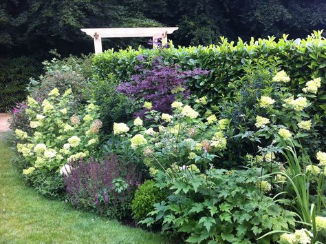 Planting with Hydrangea paniculata 'limelight' Acer palmatum 'Bloodgood' and Salvia nemrosa Caradonna. Oak pergola in background. Hydrangea Garden Border, Hydrangea And Salvia, Hydrangea And Allium Garden, Hydrangea Limelight Combination, Hydrangea Bed, Driveway Planting, Hydrangea Border, Hydrangea Limelight, Oak Pergola