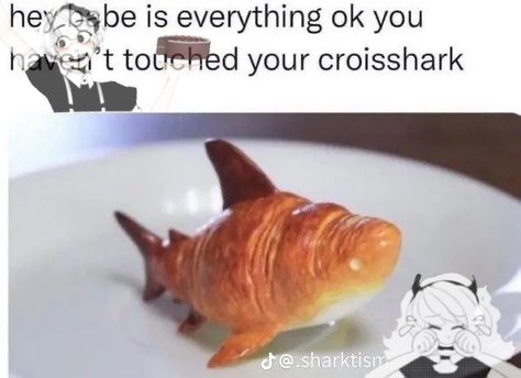 Croissant, Fish, Sharks, Memes, Shark Week, Animal Memes, The Soul, Cat Memes, Instagram Post